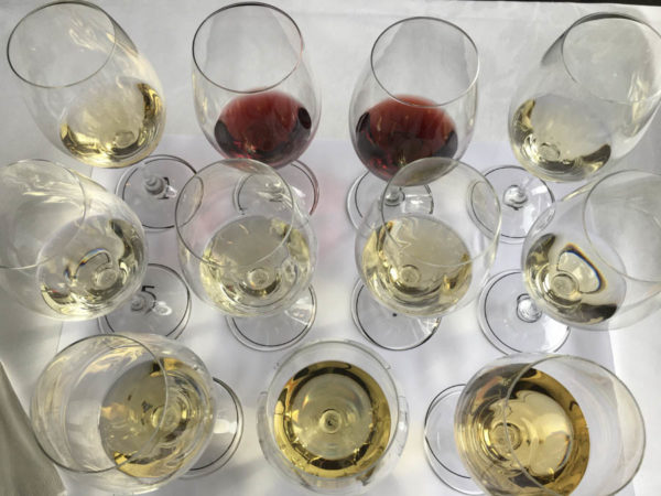 Tasting a wide range of Jura wines