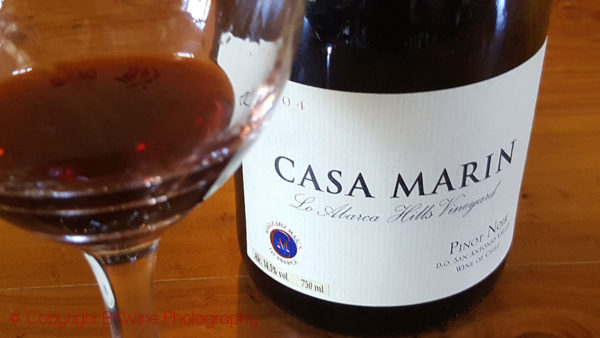 Lo Abarca Hills Pinot Noir, of Vina Casa Marin, Chile