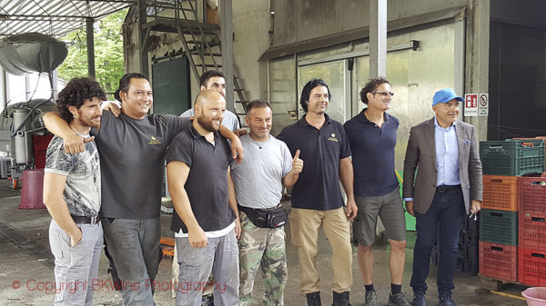 The team at the winery and vineyard helping with the harvest