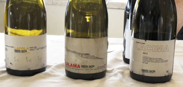 Dominio do Bibei wines from Ribeira Sacra