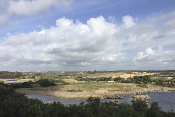 A nature reserve on Sicily with grillo vineyards