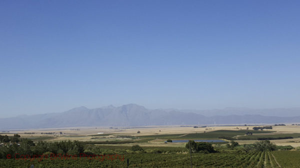 Landscape in Swartland, South Africa