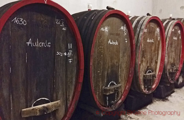 Wine barrels in a wine cellar in Germany