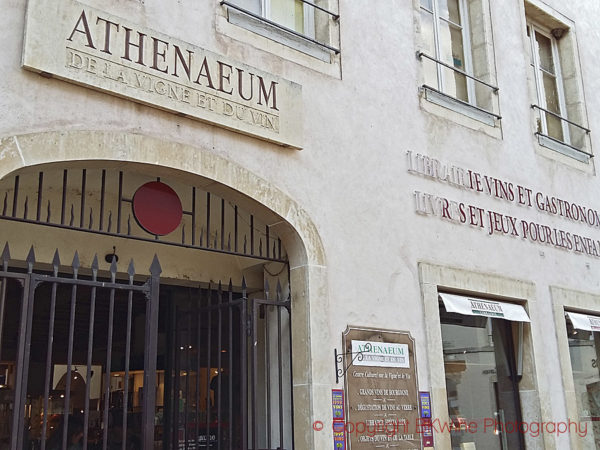 Athenaeum de la vigne et du vin, book shop in Beaune