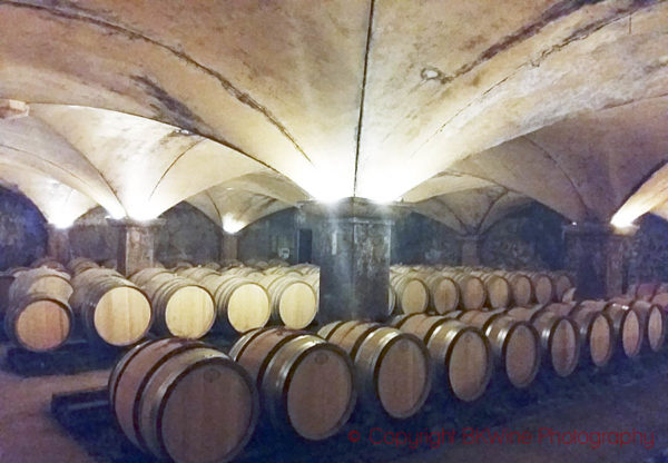 The barrel cellar at Maison Ambroise, Burgundy