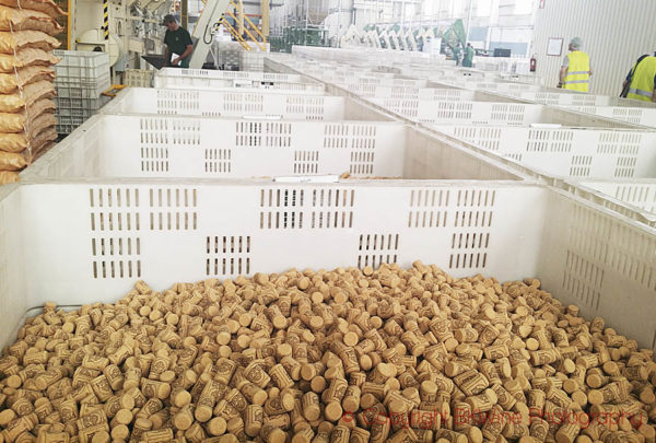 Millions of corks are made each day