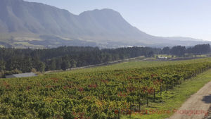 hemel en aarde valley vineyards