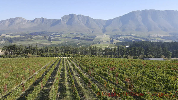 Hemel en Aarde Valley, Walker Bay, South Africa