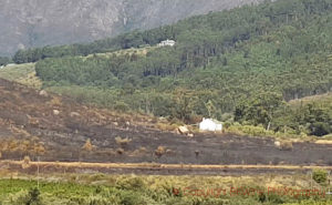 forest fire damage in south africa