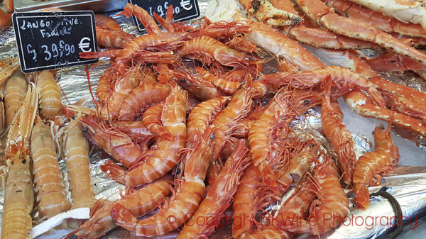 Big shrimps