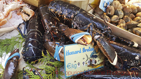 Live lobster from Brittany