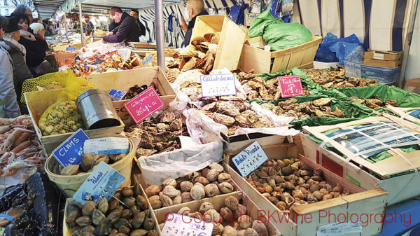 Various clams, sea snails and other shell fish