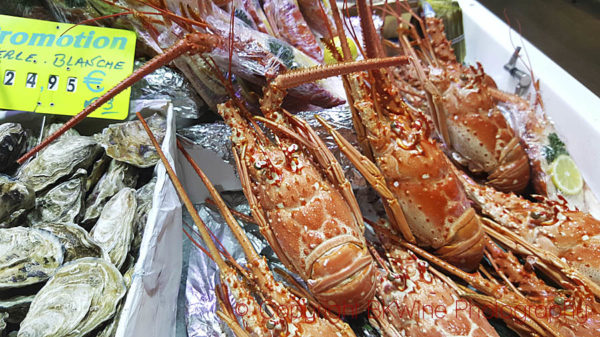 Oysters and huge langoustes