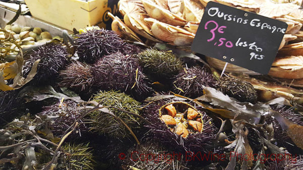 Sea urchins, considered a delicacy by some