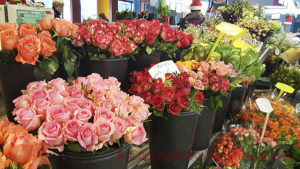 roses at a florist's