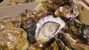 Live oysters can be found all over Paris around Christmas and New Year