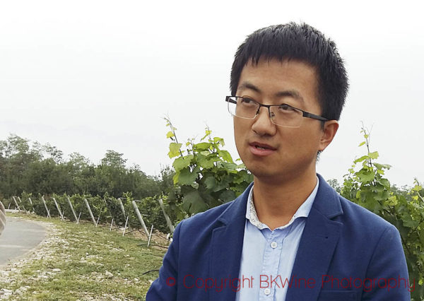 Yang Weiming, wine maker at Château Yuanshi