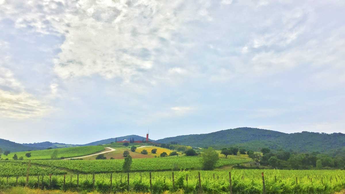 Rocca di Frassinello vineyards in Maremma