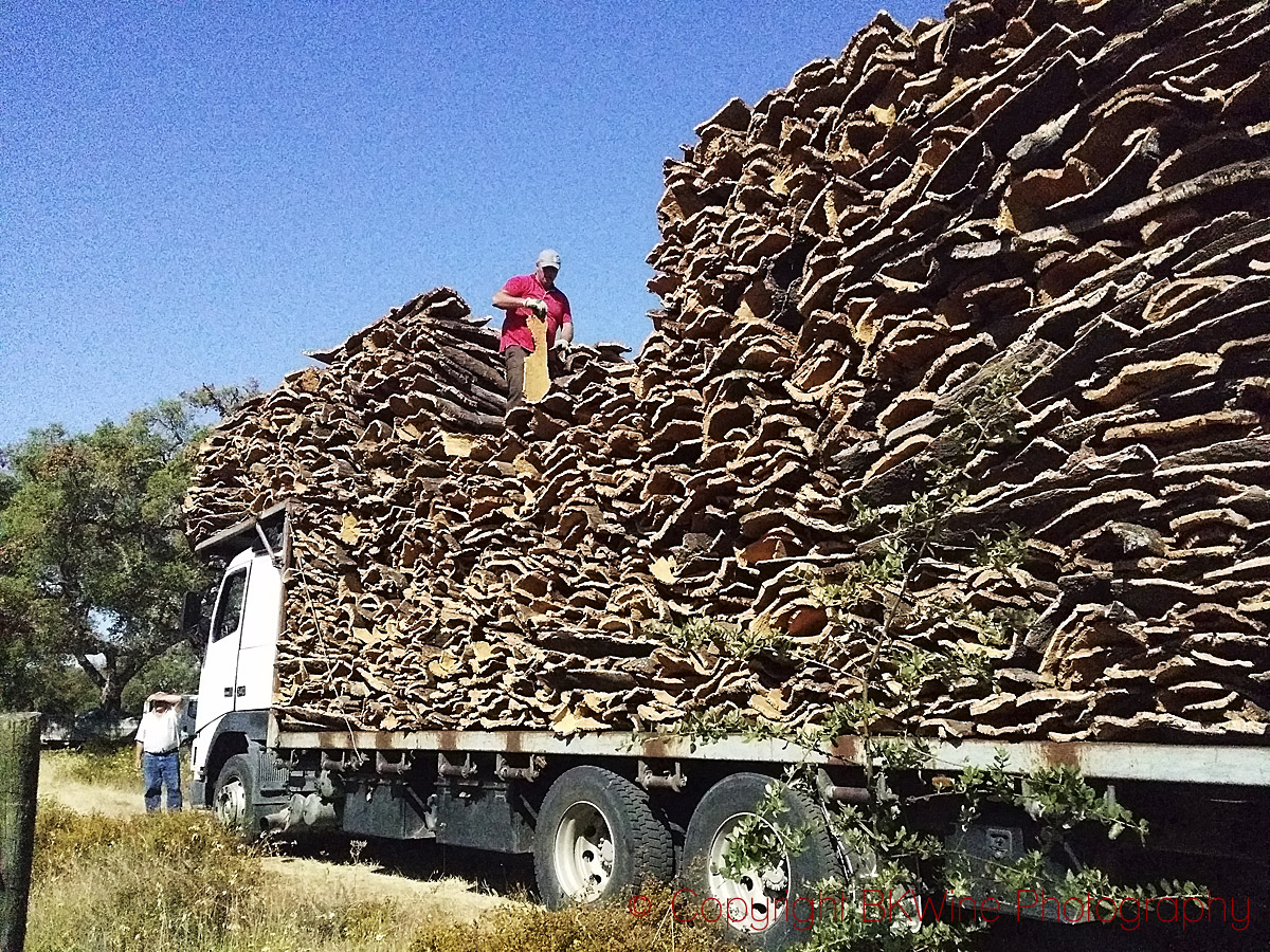 Cork oak tree bark in Portugal loaded on a lorry for transport