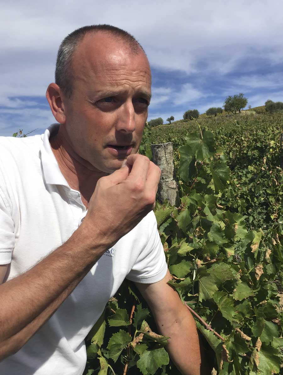 Tenuta Regaleali-Tasca d'Almerita Chief Agronomist Davide Bacchiega