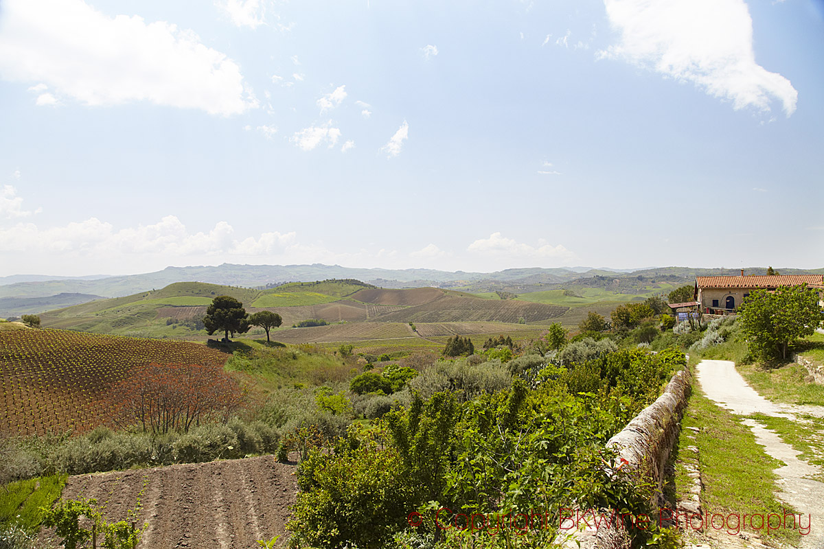 Landscape around Tenuta Regaleali, Sicily