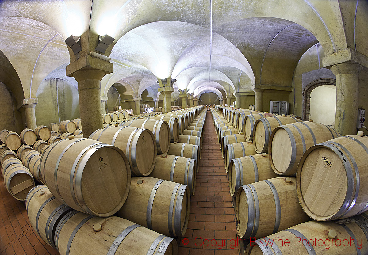 Wine cellar in Barbaresco, Piedmont