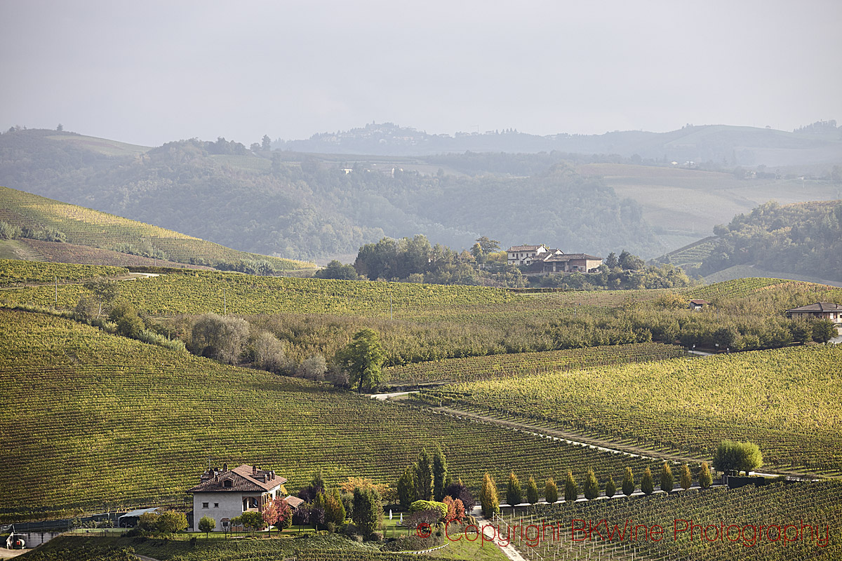 Vineyards and hills in Barbaresco, Piedmont