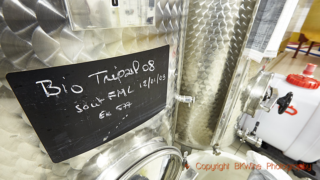 A stainless steel tank with organic wine