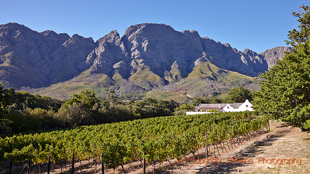 Vineyards, a winery and mountains in Franschhoek, South Africa