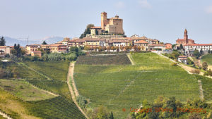 Vineyards and on old village in Piedmont