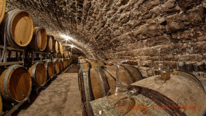 Old oak barrels for ageing wine in a cellar Champagne