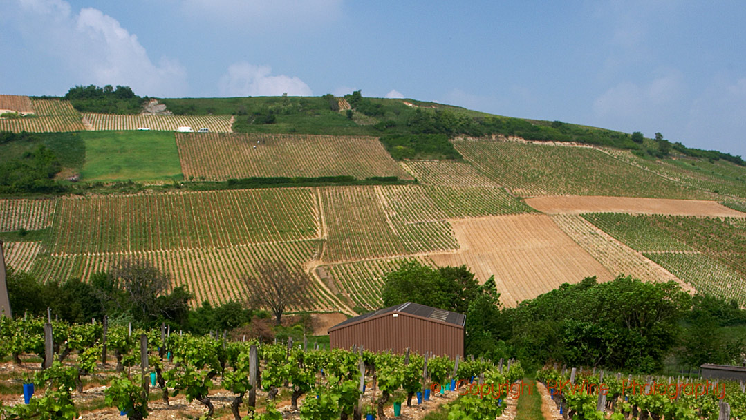 Les Monts Damnés in Sancerre, copyright BKWine Photography