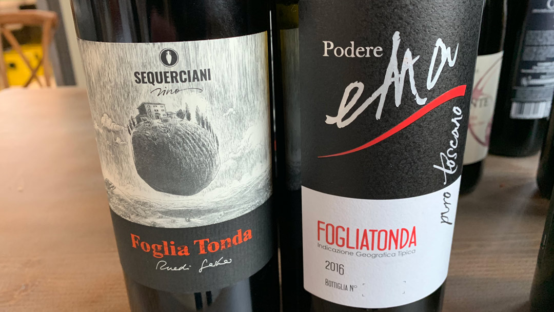 Foglia tonda wines