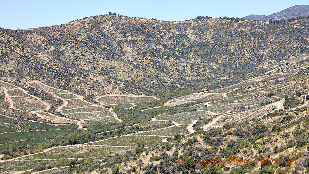 Vineyards and mountains in Chile, South America