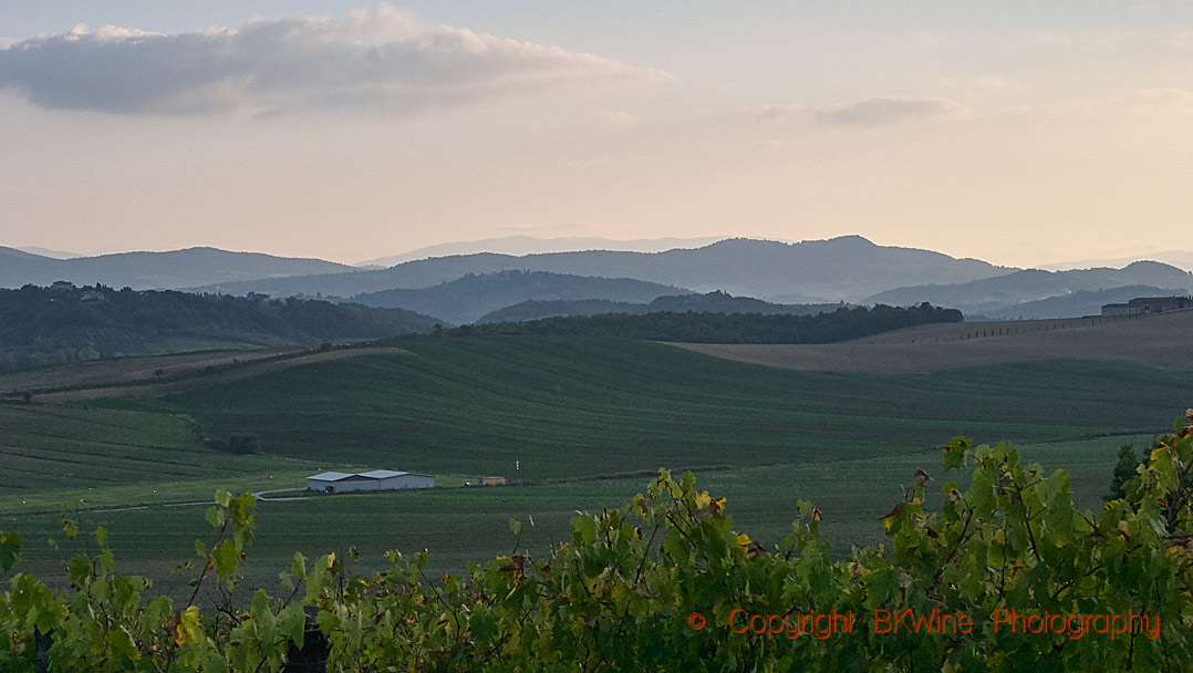 Views over the landscape in Brunello di Montalcino