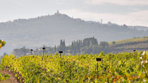 Views over Brunello di Montalcino and vineyards