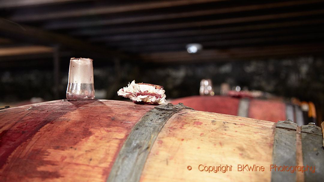 Barrels in the cellar in Medoc, Bordeaux