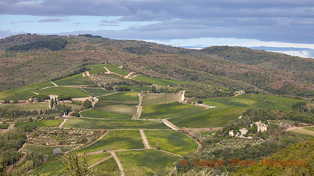 Vineyards and hills in Tuscany
