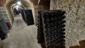 Bottles in pupitres in the cellars of Champagne Paul Dethune