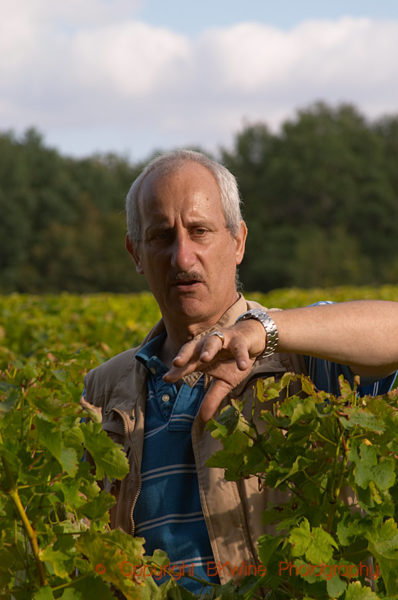 Comte Henry d'Assay in the vineyards