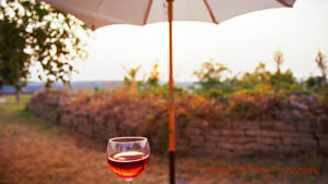A glass of rosÃ© in the garden a summer evening