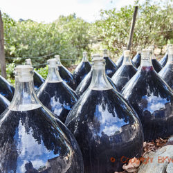 How to avoid drinking warm red wines this summer Demi-johns with rivesaltes wine maturing outside in the sunshine