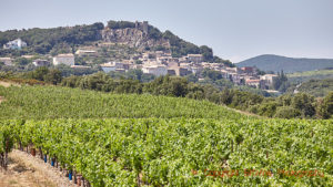 A village and vineyards in Faugeres in Languedoc