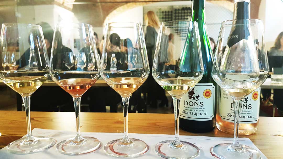 Tasting Danish Dons wines from Skaersogaard