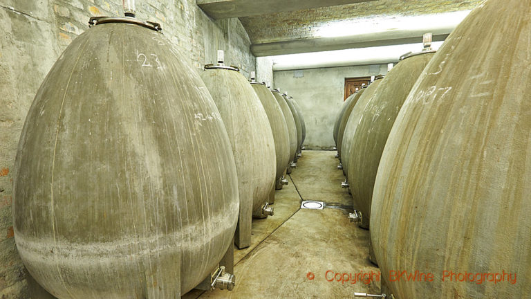 Concrete oval egg tanks for fermentation in a winery in South Africa