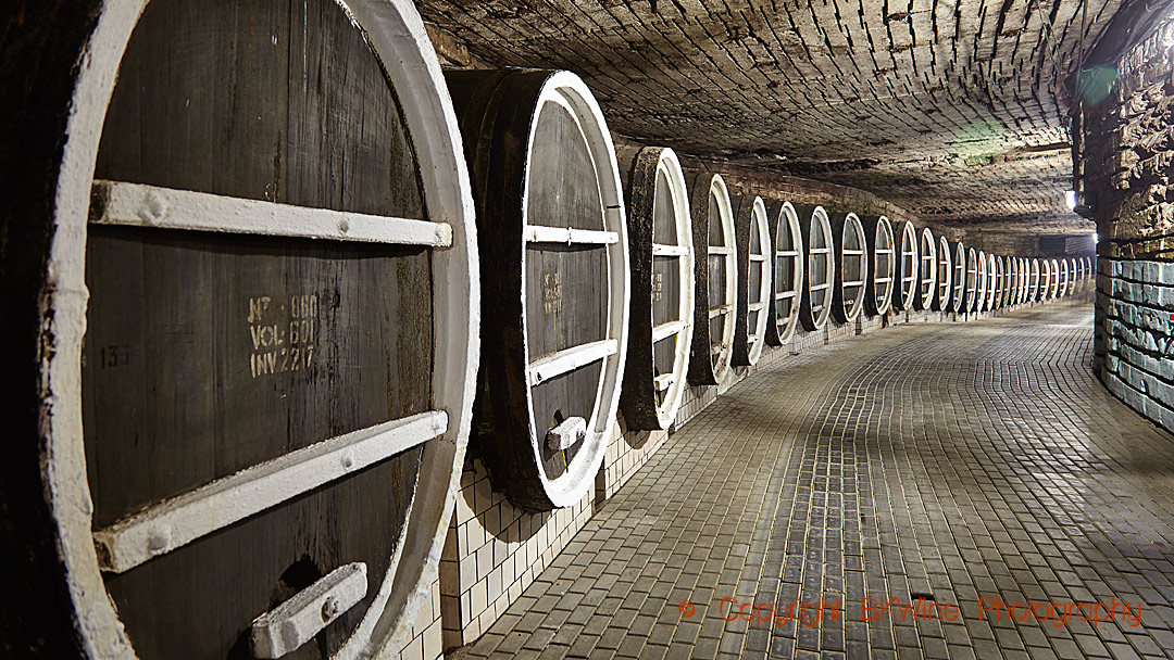 The immense cellars of Milestii Mici