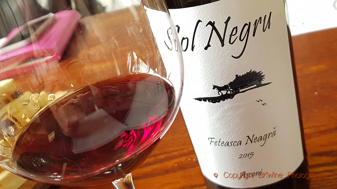 Sol Negru Feteasca Neagra at Asconi Winery in Moldova