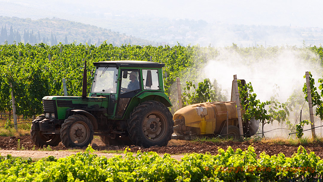 Spraying in the vineyards