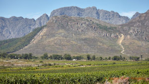 The view from Glenwood Vineyards, Franschhoek, South Africa