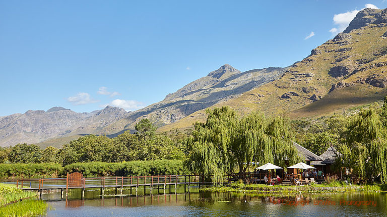 At Stark-Condé Wines, Stellenbosch, South Africa